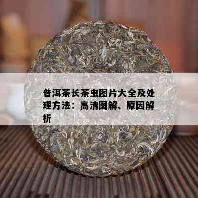 普洱茶长茶虫图片大全及处理方法：高清图解、原因解析