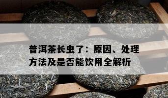 普洱茶长虫了：原因、处理方法及是否能饮用全解析