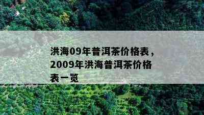 洪海09年普洱茶价格表，2009年洪海普洱茶价格表一览