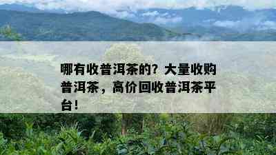 哪有收普洱茶的？大量收购普洱茶，高价回收普洱茶平台！