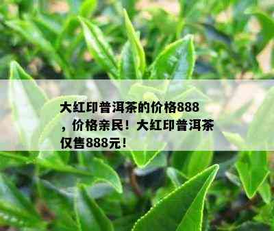 大红印普洱茶的价格888，价格亲民！大红印普洱茶仅售888元！