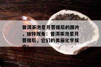 普洱茶泡星月菩提后的图片，独特视角：普洱茶泡星月菩提后，它们的美丽化学反应！