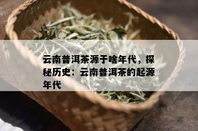 云南普洱茶源于啥年代，探秘历史：云南普洱茶的起源年代