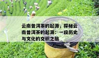 云南普洱茶的起源，探秘云南普洱茶的起源：一段历史与文化的交织之旅