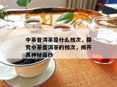 中茶普洱茶是什么档次，探究中茶普洱茶的档次，揭开其神秘面纱