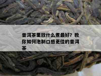 普洱茶里放什么煮更好？教你如何泡制口感更佳的普洱茶