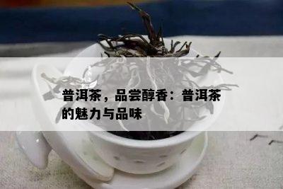 普洱茶，品尝醇香：普洱茶的魅力与品味