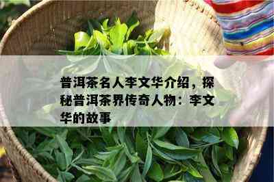 普洱茶名人李文华介绍，探秘普洱茶界传奇人物：李文华的故事