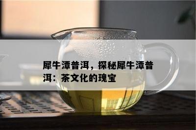 犀牛潭普洱，探秘犀牛潭普洱：茶文化的瑰宝