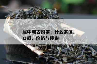 犀牛塘古树茶：什么茶区、口感、价格与传说