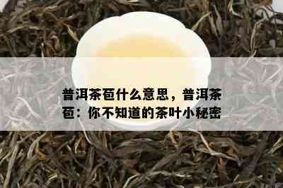 普洱茶苞什么意思，普洱茶苞：你不知道的茶叶小秘密