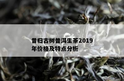 昔归古树普洱生茶2019年价格及特点分析