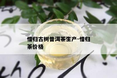 惜归古树普洱茶生产-惜归茶价格