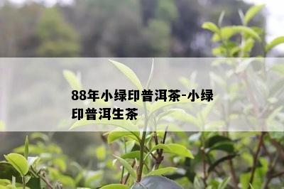 88年小绿印普洱茶-小绿印普洱生茶