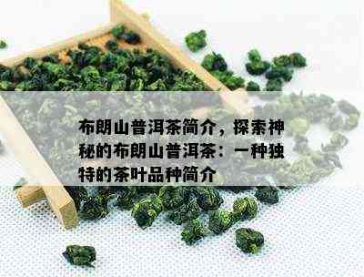 布朗山普洱茶简介，探索神秘的布朗山普洱茶：一种特别的茶叶品种简介