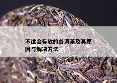 不适合存放的普洱茶及其起因与解决方法