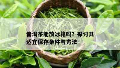 普洱茶能放冰箱吗？探讨其适宜保存条件与方法