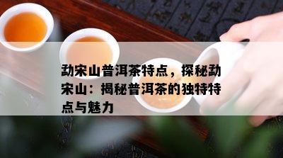 勐宋山普洱茶特点，探秘勐宋山：揭秘普洱茶的特别特点与魅力