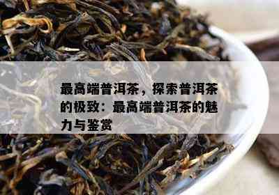 更高端普洱茶，探索普洱茶的极致：更高端普洱茶的魅力与鉴赏