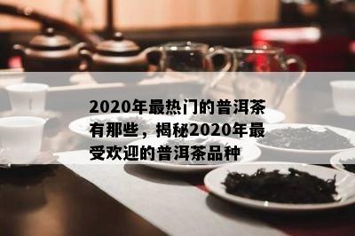 2020年最热门的普洱茶有那些，揭秘2020年更受欢迎的普洱茶品种