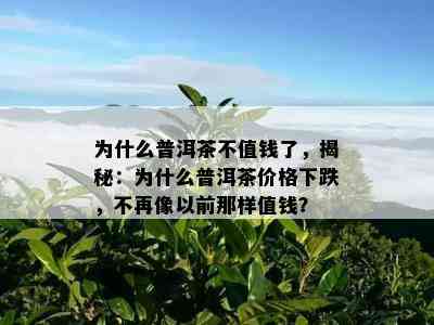 为什么普洱茶不值钱了，揭秘：为什么普洱茶价格下跌，不再像以前那样值钱？