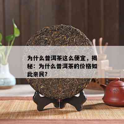 为什么普洱茶这么便宜，揭秘：为什么普洱茶的价格如此亲民？