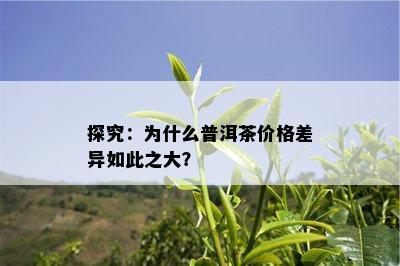 探究：为什么普洱茶价格差异如此之大？