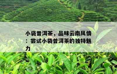 小袋普洱茶，品味云南风情：尝试小袋普洱茶的独特魅力