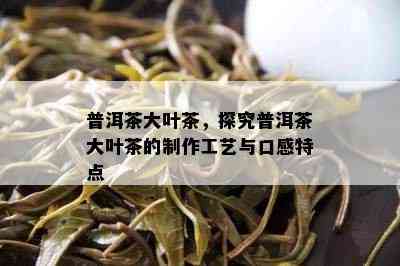 普洱茶大叶茶，探究普洱茶大叶茶的制作工艺与口感特点