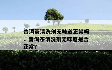 普洱茶清洗剂无味道正常吗，普洱茶清洗剂无味道是不是正常？