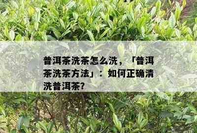 普洱茶洗茶怎么洗，「普洱茶洗茶方法」：怎样正确清洗普洱茶？