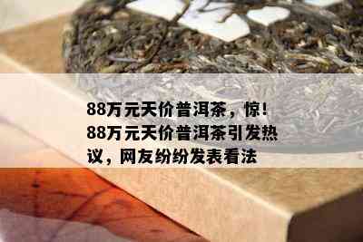 88万元天价普洱茶，惊！88万元天价普洱茶引发热议，网友纷纷发表看法