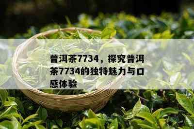 普洱茶7734，探究普洱茶7734的独特魅力与口感体验