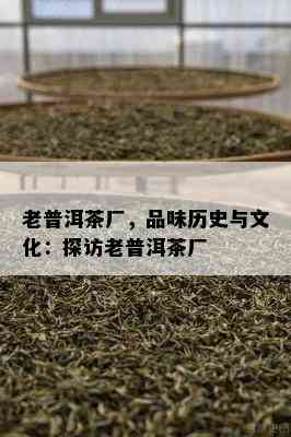 老普洱茶厂，品味历史与文化：探访老普洱茶厂