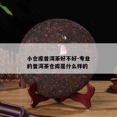 小仓库普洱茶好不好-专业的普洱茶仓库是什么样的