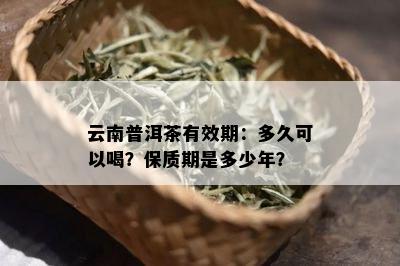 云南普洱茶有效期：多久可以喝？保质期是多少年？