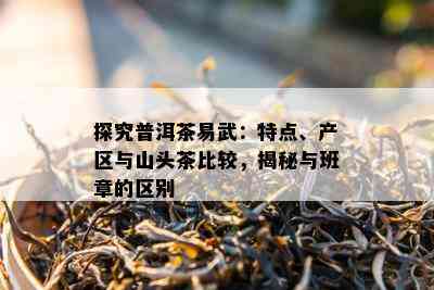 探究普洱茶易武：特点、产区与山头茶比较，揭秘与班章的区别