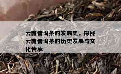 云南普洱茶的发展史，探秘云南普洱茶的历史发展与文化传承