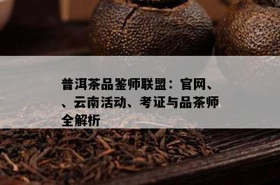 普洱茶品鉴师联盟：官网、、云南活动、考证与品茶师全解析