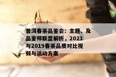 普洱春茶品鉴会：主题、及品鉴师联盟解析，2021与2019春茶品质对比视频与活动方案