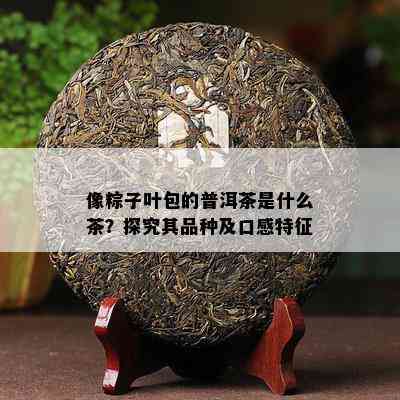 像粽子叶包的普洱茶是什么茶？探究其品种及口感特征