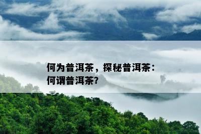 何为普洱茶，探秘普洱茶：何谓普洱茶？