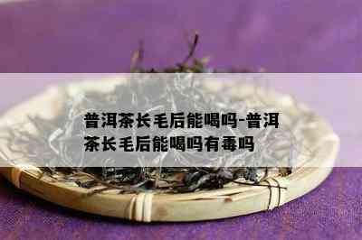 普洱茶长毛后能喝吗-普洱茶长毛后能喝吗有吗