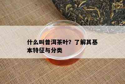 什么叫普洱茶叶？了解其基本特征与分类