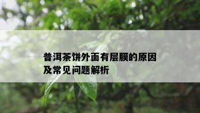 普洱茶饼外面有层膜的起因及常见疑问解析