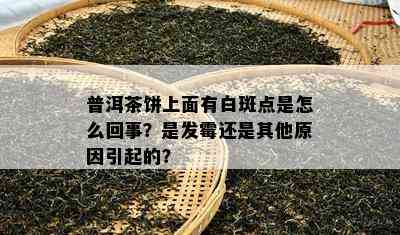 普洱茶饼上面有白斑点是怎么回事？是发霉还是其他起因引起的？