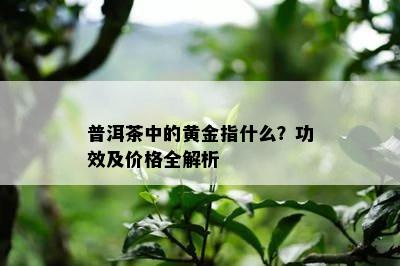 普洱茶中的黄金指什么？功效及价格全解析