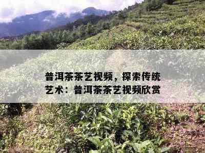 普洱茶茶艺视频，探索传统艺术：普洱茶茶艺视频欣赏