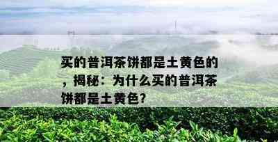 买的普洱茶饼都是土黄色的，揭秘：为什么买的普洱茶饼都是土黄色？