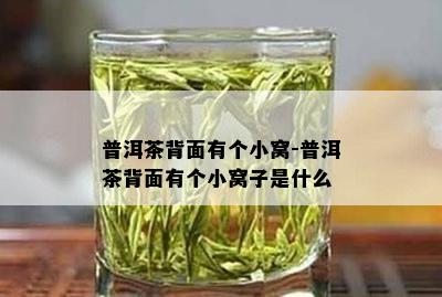 普洱茶背面有个小窝-普洱茶背面有个小窝子是什么